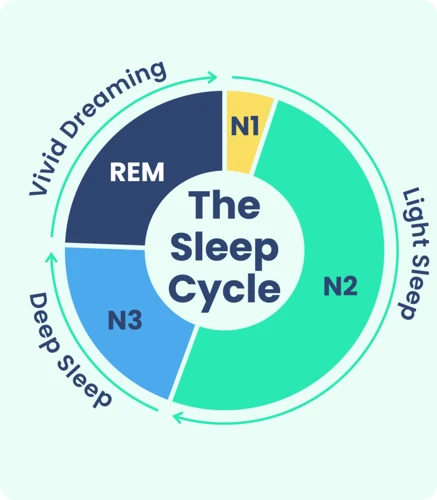 Søvnsyklus