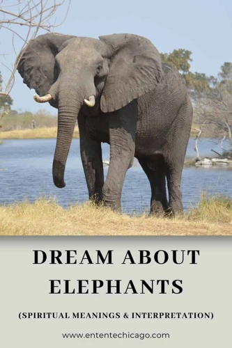 Fortolkning Av Spesifikke Elefantdrømmer